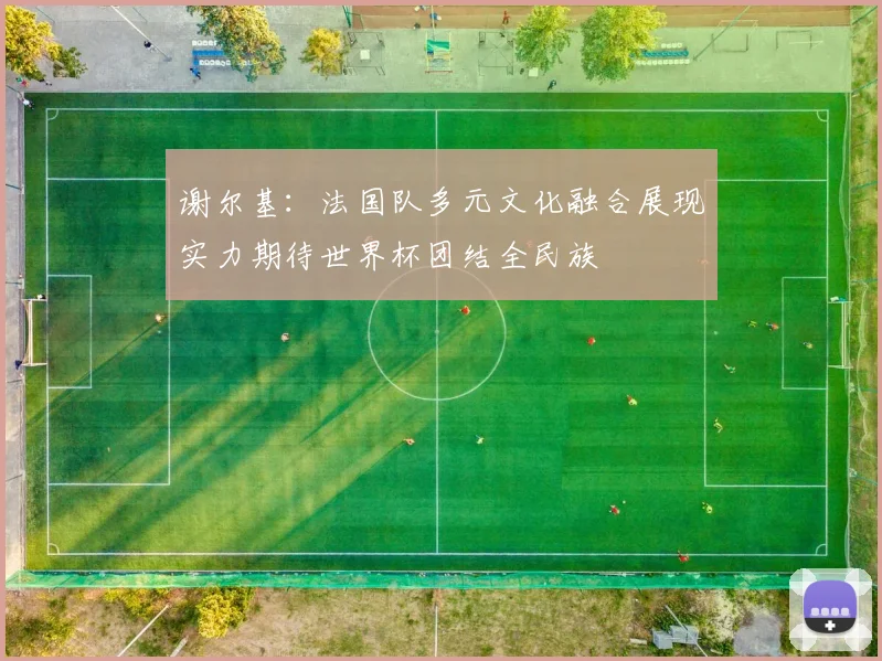 谢尔基：法国队多元文化融合展现实力期待世界杯团结全民族