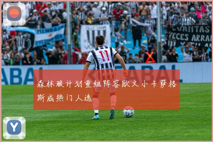 森林狼计划重组阵容欧文小卡萨格斯成热门人选