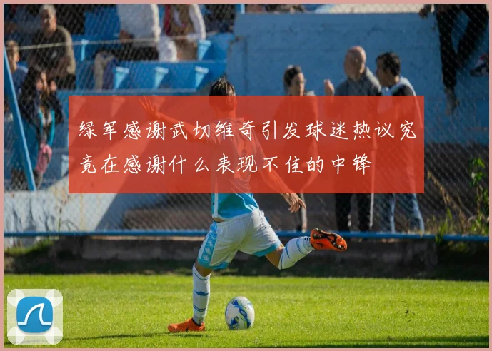 绿军感谢武切维奇引发球迷热议究竟在感谢什么表现不佳的中锋